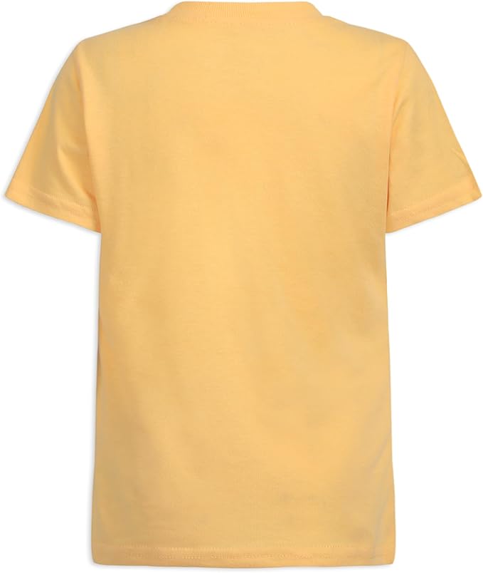 Disney Lion Guard The Toddler Boys' T-Shirt (Pack of 3) Grey