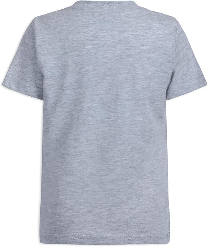 Disney Lion Guard The Toddler Boys' T-Shirt (Pack of 3) Grey
