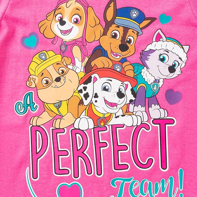 Nickelodeon Paw Patrol Girls Short Sleeve T-Shirt for Toddler and Little Kids - Grey/Pink/White/Blue