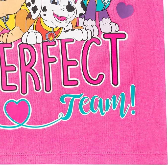 Nickelodeon Paw Patrol Girls Short Sleeve T-Shirt for Toddler and Little Kids - Grey/Pink/White/Blue