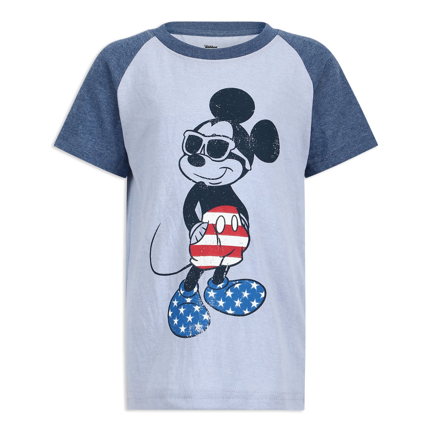 Disney Mickey Mouse Boys T-Shirt and Shorts Set for Little Kids – Blue/Grey