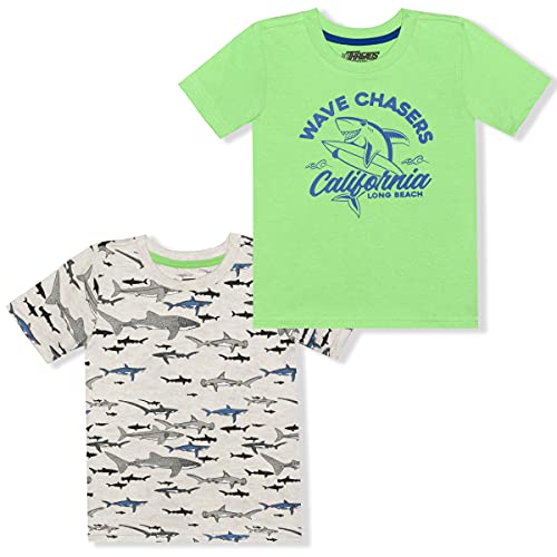 10 Threads Dino and Shark Boys 2 Pack T-Shirts for Toddler and Little Kid – Blue/Green/Grey