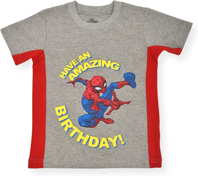 Marvel Spiderman Boys’ Birthday T-Shirt for Toddler and Little Kids - Grey