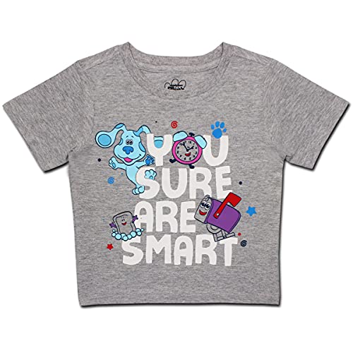 Nickelodeon Blues Clues Boys Short Sleeve T-Shirt for Toddler – Grey/Red/Blue