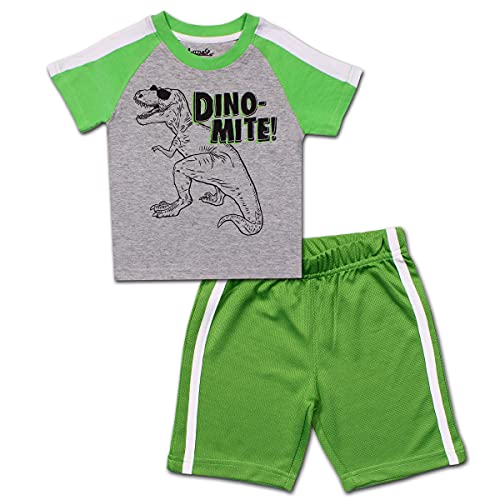 Little Rebels Boy's 2-Piece Dino-mite Tee Shirt and Taped Short Set, Grey/Green, Size 4