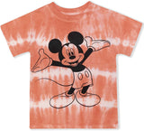 Disney Mickey Mouse Boys T-Shirt for Toddlers and Little Kids – Green/Red/Grey/Blue/Yellow