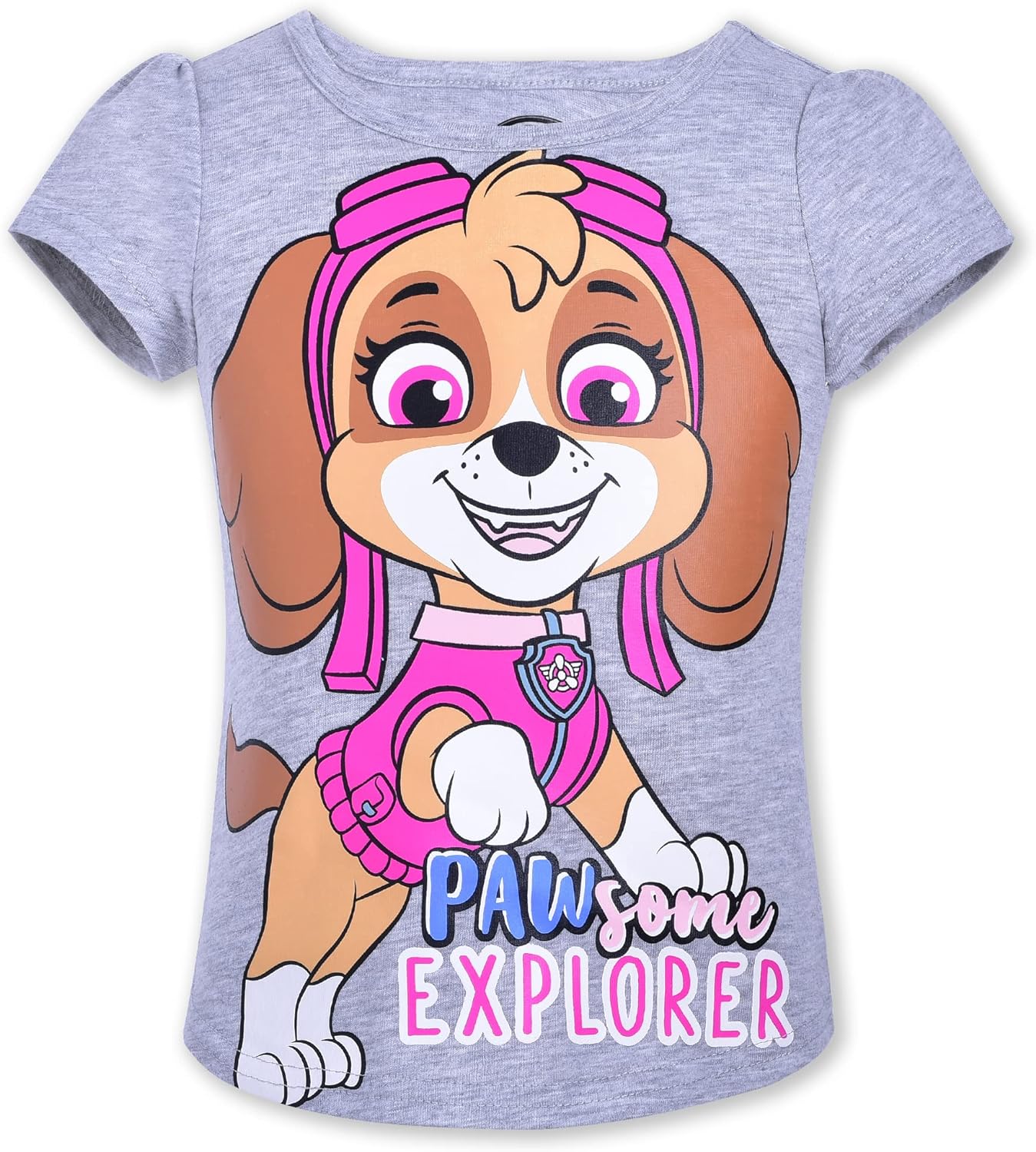 Paw Patrol Nickelodeon Skye and Everest Girls? Short Sleeve Shirt 4 Pack for Toddler and Little Kids ? Blue/Purple/Pink/Red