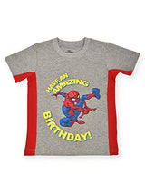 Marvel Spiderman Boys’ Birthday T-Shirt for Toddler and Little Kids - Grey